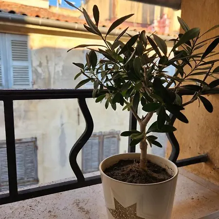 Le Beffroi De Gaston Climatise Apartment
