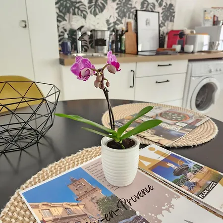 Le Beffroi De Gaston Climatise Apartment *